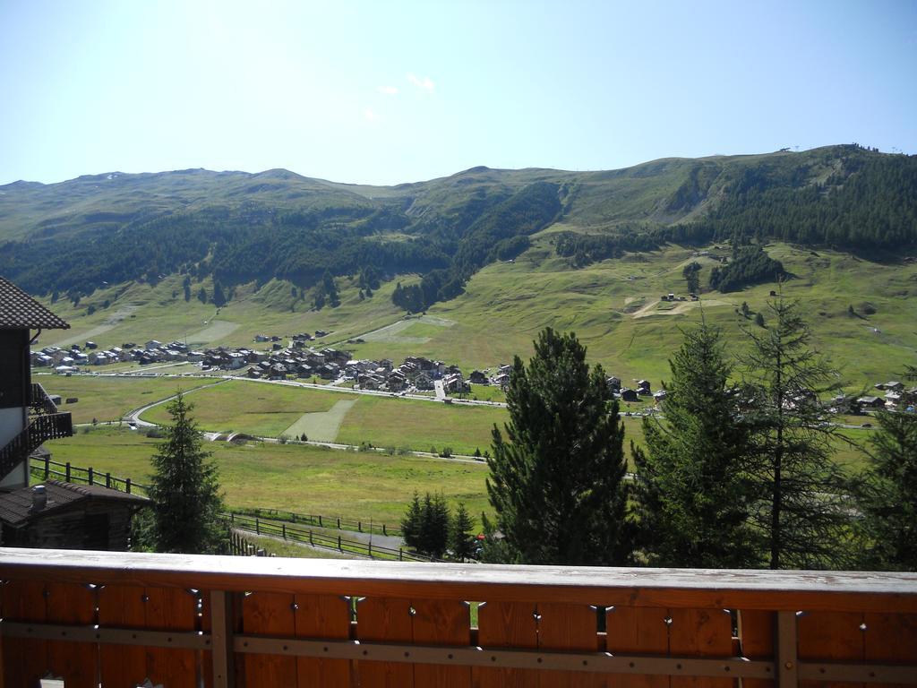 Hotel Betulla *